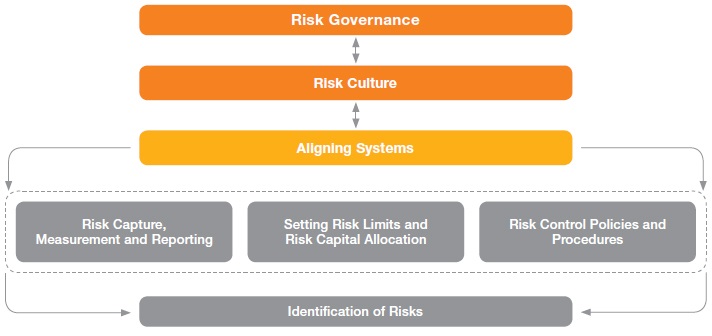 Risk Governance